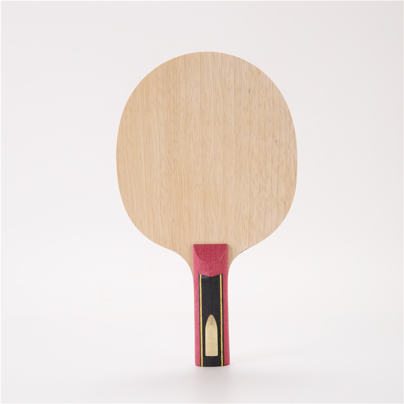 مضرب تنس من طبقات الخشب ، أليا - مراجعة Table Tennis Zlc وسعره